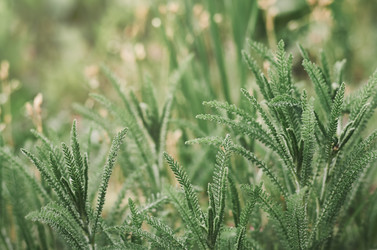 Similar image 21499128