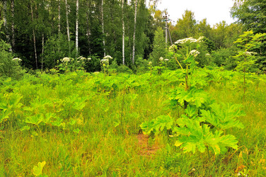 Similar image 21499777