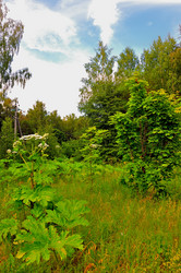 Similar image 21499778