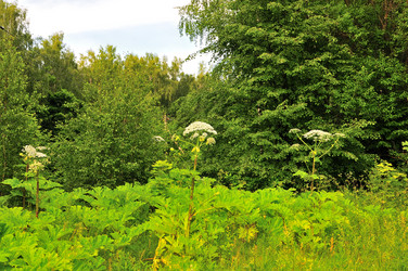 Similar image 21499779