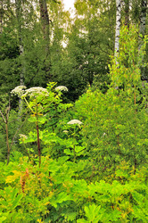 Similar image 21499780