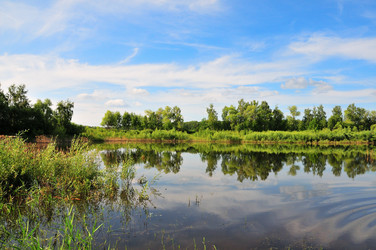 Similar image 21499781