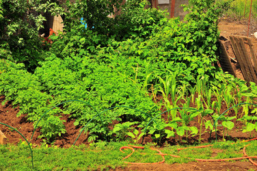 Similar image 21499782