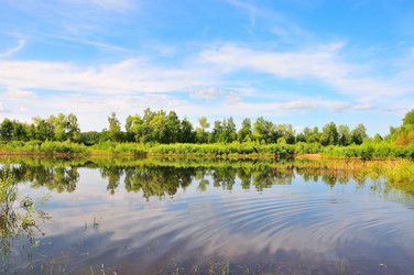 Similar image 21499783