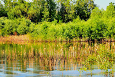 Similar image 21499785