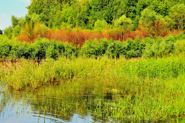 Similar image 21499786