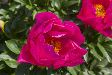 Similar image 21499789