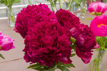 Similar image 21499791