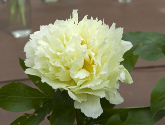 Similar image 21499793