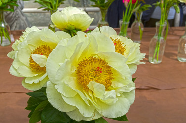 Similar image 21499794