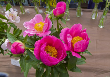 Similar image 21499795