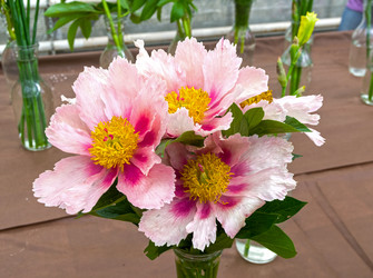 Similar image 21499796