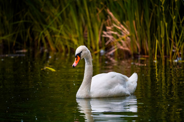 Similar image 21500078