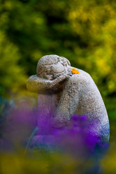 Similar image 21500081