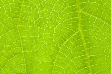 Similar image 21499797