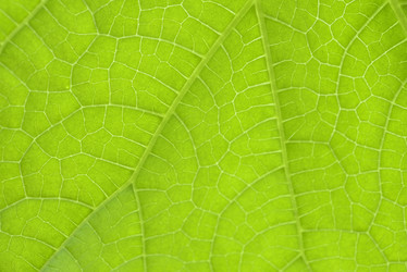 Similar image 21499798