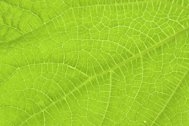 Similar image 21499799