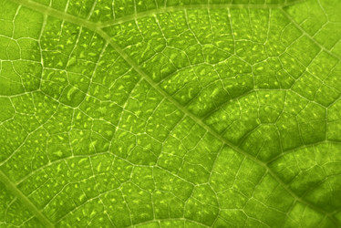 Similar image 21499802