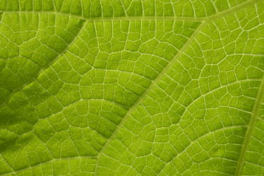 Similar image 21499803