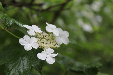 Similar image 21501836