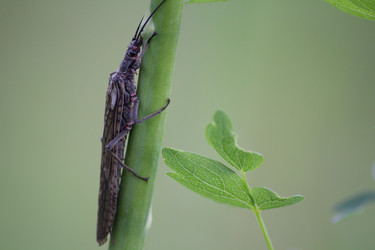 Similar image 21501837