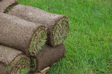 Similar image 21499918