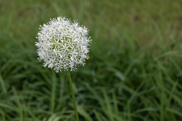 Similar image 21499920