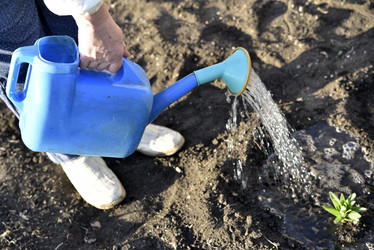 Similar image 21499931