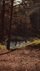 Similar image 21501838