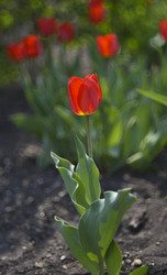 Similar image 21499933