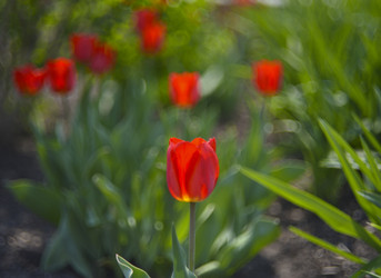 Similar image 21499935