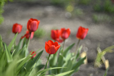 Similar image 21499936