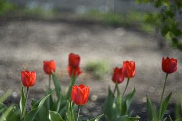 Similar image 21499937