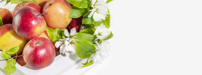 Similar image 21499938