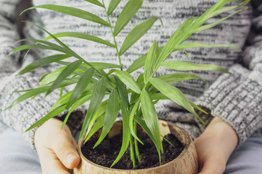 Similar image 21499944