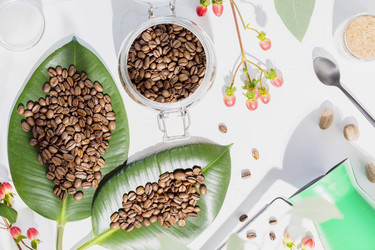 Similar image 21499957