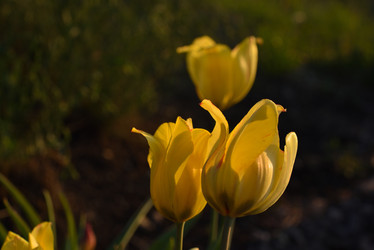 Similar image 21499965