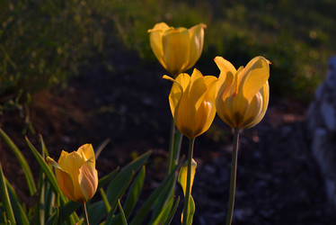 Similar image 21499968