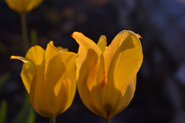 Similar image 21499969