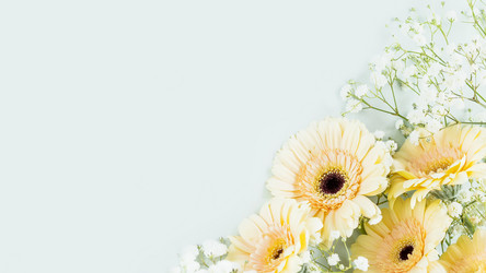 Similar image 21499981