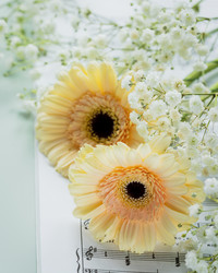 Similar image 21499989