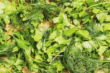 Similar image 21499993