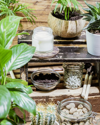 Similar image 21500003