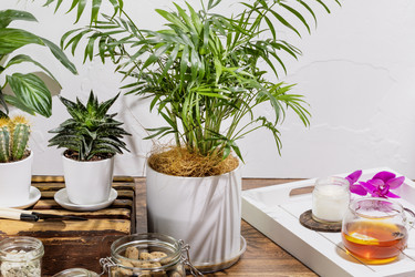 Similar image 21500004