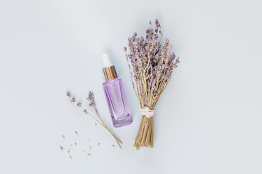 Similar image 21500007