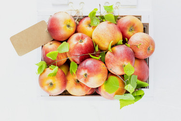 Similar image 21500012