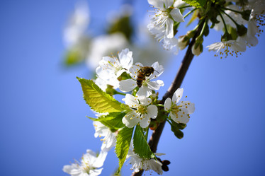 Similar image 21500084