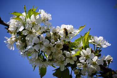 Similar image 21500085