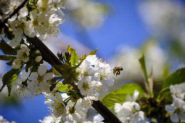 Similar image 21500086