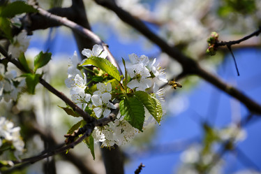 Similar image 21500087